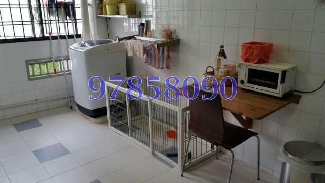 Blk 81B Lorong 4 Toa Payoh (Toa Payoh), HDB 4 Rooms #132615532